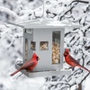 image:imageUmbra Bird Cafe Bird Feeder Outdoor Hanging Seed Dispenser Grey  Wraparound tray steel cable easy refill weather resistant plastic