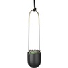 image:imageUmbra Bolo Hanging Planter for Succulents Herbs and Other Small Plants Single WhiteBrassBlack
