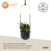 image:imageUmbra Bolo Hanging Planter for Succulents Herbs and Other Small Plants Single WhiteBrassBlack