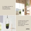 image:imageUmbra Bolo Hanging Planter for Succulents Herbs and Other Small Plants Single WhiteBrassBlack