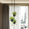 image:imageUmbra Bolo Hanging Planter for Succulents Herbs and Other Small Plants Single WhiteBrassBlack