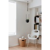 image:imageUmbra Bolo Hanging Planter for Succulents Herbs and Other Small Plants Single WhiteBrassBlack