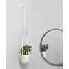 image:imageUmbra Bolo Hanging Planter for Succulents Herbs and Other Small Plants Single WhiteBrassWhite