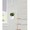 image:imageUmbra Bolo Hanging Planter for Succulents Herbs and Other Small Plants Single WhiteBrassWhite