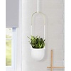 image:imageUmbra Bolo Hanging Planter for Succulents Herbs and Other Small Plants Single WhiteBrassWhite