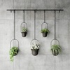 image:imageUmbra Triflora Hanging Planter Indoor Herb Garden Set of 3 WhiteBlack  Extendable metal rod adjustable rope lengths fits standard pots wall or ceiling mount holds 15 lbs recycled plasticBlackBlack