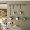 image:imageUmbra Triflora Hanging Planter Indoor Herb Garden Set of 3 WhiteBlack  Extendable metal rod adjustable rope lengths fits standard pots wall or ceiling mount holds 15 lbs recycled plasticWhiteBlack