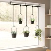 image:imageUmbra Triflora Hanging Planter Indoor Herb Garden Set of 3 WhiteBlack  Extendable metal rod adjustable rope lengths fits standard pots wall or ceiling mount holds 15 lbs recycled plasticBlackBlack
