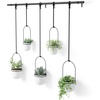 image:imageUmbra Triflora Hanging Planter Indoor Herb Garden Set of 3 WhiteBlack  Extendable metal rod adjustable rope lengths fits standard pots wall or ceiling mount holds 15 lbs recycled plasticWhiteBlack