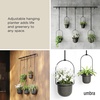 image:imageUmbra Triflora Hanging Planter Indoor Herb Garden Set of 3 WhiteBlack  Extendable metal rod adjustable rope lengths fits standard pots wall or ceiling mount holds 15 lbs recycled plasticBlackBlack