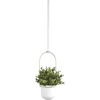 image:imageUmbra Triflora Hanging Planter Indoor Herb Garden Set of 3 WhiteBrass  Extendable metal rod adjustable rope lengths fits standard pots wall or ceiling mount holds 15 lbs recycled plasticWhiteBrass