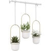 image:imageUmbra Triflora Hanging Planter Indoor Herb Garden Set of 3 WhiteBrass  Extendable metal rod adjustable rope lengths fits standard pots wall or ceiling mount holds 15 lbs recycled plasticWhiteBrass