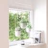 image:imageUmbra Triflora Hanging Planter Indoor Herb Garden Set of 3 WhiteBrass  Extendable metal rod adjustable rope lengths fits standard pots wall or ceiling mount holds 15 lbs recycled plasticWhiteBrass