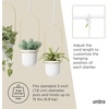 image:imageUmbra Triflora Hanging Planter Indoor Herb Garden Set of 3 WhiteBrass  Extendable metal rod adjustable rope lengths fits standard pots wall or ceiling mount holds 15 lbs recycled plasticWhiteBrass