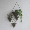 image:imageUmbra Trigg Hanging Planter Vase Wall Decor Set of 2 Pots Containers for Succulents Cactus Faux Plants and More Small WhiteNickelBlackBrass