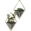 image:imageUmbra Trigg Hanging Planter Vase Wall Decor Set of 2 Pots Containers for Succulents Cactus Faux Plants and More Small WhiteNickelBlackBrass