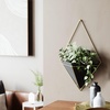 image:imageUmbra Trigg Hanging Planter Vase Wall Decor Set of 2 Pots Containers for Succulents Cactus Faux Plants and More Small WhiteNickelBlackBrass