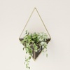 image:imageUmbra Trigg Hanging Planter Vase Wall Decor Set of 2 Pots Containers for Succulents Cactus Faux Plants and More Small WhiteNickelBlackBrass