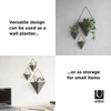 image:imageUmbra Trigg Hanging Planter Vase Wall Decor Set of 2 Pots Containers for Succulents Cactus Faux Plants and More Small WhiteNickelBlackBrass