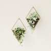image:imageUmbra Trigg Hanging Planter Vase Wall Decor Set of 2 Pots Containers for Succulents Cactus Faux Plants and More Small WhiteNickelBlackBrass
