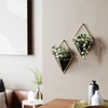 image:imageUmbra Trigg Hanging Planter Vase Wall Decor Set of 2 Pots Containers for Succulents Cactus Faux Plants and More Small WhiteNickelBlackBrass