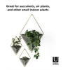 image:imageUmbra Trigg Hanging Planter Vase Wall Decor Set of 2 Pots Containers for Succulents Cactus Faux Plants and More Small WhiteNickelBlackBrass