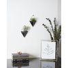 image:imageUmbra Trigg Hanging Planter Vase Wall Decor Set of 2 Pots Containers for Succulents Cactus Faux Plants and More Small WhiteNickelBlackBrass