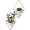 image:imageUmbra Trigg Hanging Planter Vase Wall Decor Set of 2 Pots Containers for Succulents Cactus Faux Plants and More Small WhiteNickelGreyCopper