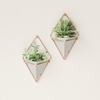 image:imageUmbra Trigg Hanging Planter Vase Wall Decor Set of 2 Pots Containers for Succulents Cactus Faux Plants and More Small WhiteNickelGreyCopper