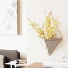 image:imageUmbra Trigg Hanging Planter Vase Wall Decor Set of 2 Pots Containers for Succulents Cactus Faux Plants and More Small WhiteNickelGreyCopper