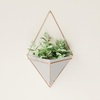image:imageUmbra Trigg Hanging Planter Vase Wall Decor Set of 2 Pots Containers for Succulents Cactus Faux Plants and More Small WhiteNickelGreyCopper