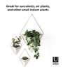 image:imageUmbra Trigg Hanging Planter Vase Wall Decor Set of 2 Pots Containers for Succulents Cactus Faux Plants and More Small WhiteNickelGreyCopper