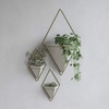 image:imageUmbra Trigg Hanging Planter Vase Wall Decor Set of 2 Pots Containers for Succulents Cactus Faux Plants and More Small WhiteNickelWhiteBrass