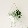 image:imageUmbra Trigg Hanging Planter Vase Wall Decor Set of 2 Pots Containers for Succulents Cactus Faux Plants and More Small WhiteNickelWhiteBrass