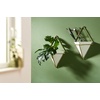 image:imageUmbra Trigg Hanging Planter Vase Wall Decor Set of 2 Pots Containers for Succulents Cactus Faux Plants and More Small WhiteNickelWhiteBrass