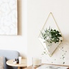 image:imageUmbra Trigg Hanging Planter Vase Wall Decor Set of 2 Pots Containers for Succulents Cactus Faux Plants and More Small WhiteNickelWhiteBrass