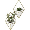 image:imageUmbra Trigg Hanging Planter Vase Wall Decor Set of 2 Pots Containers for Succulents Cactus Faux Plants and More Small WhiteNickelWhiteBrass