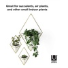 image:imageUmbra Trigg Hanging Planter Vase Wall Decor Set of 2 Pots Containers for Succulents Cactus Faux Plants and More Small WhiteNickelWhiteBrass