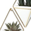 image:imageUmbra Trigg Hanging Planter Vase Wall Decor Set of 2 Pots Containers for Succulents Cactus Faux Plants and More Small WhiteNickelWhiteBrass