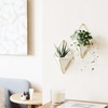 image:imageUmbra Trigg Hanging Planter Vase Wall Decor Set of 2 Pots Containers for Succulents Cactus Faux Plants and More Small WhiteNickelWhiteBrass