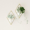 image:imageUmbra Trigg Hanging Planter Vase Wall Decor Set of 2 Pots Containers for Succulents Cactus Faux Plants and More Small WhiteNickelWhiteBrass