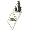 image:imageUmbra Trigg Hanging Planter Vase Wall Decor Set of 2 Pots Containers for Succulents Cactus Faux Plants and More Small WhiteNickelWhiteBrass