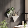 image:imageUmbra Trigg Hanging Planter Vase Wall Decor Set of 2 Pots Containers for Succulents Cactus Faux Plants and More Small WhiteNickelWhiteNickel