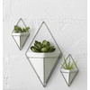 image:imageUmbra Trigg Hanging Planter Vase Wall Decor Set of 2 Pots Containers for Succulents Cactus Faux Plants and More Small WhiteNickelWhiteNickel