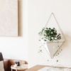 image:imageUmbra Trigg Hanging Planter Vase Wall Decor Set of 2 Pots Containers for Succulents Cactus Faux Plants and More Small WhiteNickelWhiteNickel