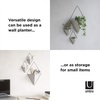 image:imageUmbra Trigg Hanging Planter Vase Wall Decor Set of 2 Pots Containers for Succulents Cactus Faux Plants and More Small WhiteNickelWhiteNickel