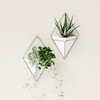 image:imageUmbra Trigg Hanging Planter Vase Wall Decor Set of 2 Pots Containers for Succulents Cactus Faux Plants and More Small WhiteNickelWhiteNickel
