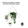 image:imageUmbra Trigg Hanging Planter Vase Wall Decor Set of 2 Pots Containers for Succulents Cactus Faux Plants and More Small WhiteNickelWhiteNickel