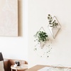 image:imageUmbra Trigg Hanging Planter Vase Wall Decor Set of 2 Pots Containers for Succulents Cactus Faux Plants and More Small WhiteNickelWhiteNickel