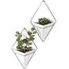 image:imageUmbra Trigg Hanging Planter Vase Wall Decor Set of 2 Pots Containers for Succulents Cactus Faux Plants and More Small WhiteNickelWhiteNickel